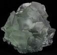 Cubic, Green Fluorite (Dodecahedral Edges) - (Special Price) #32415-3
